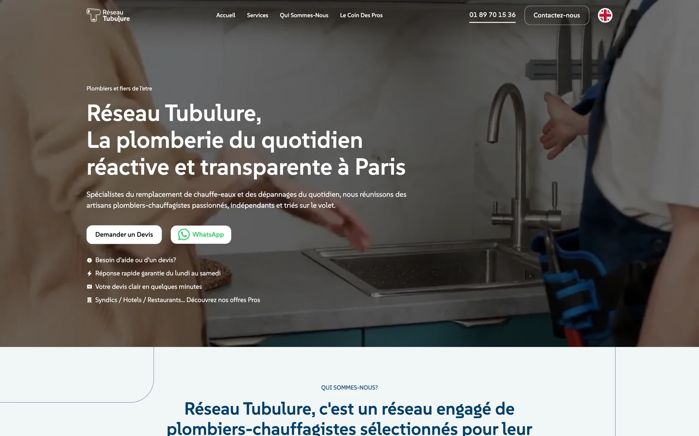 งานออกแบบเว็บไซต์ Réseau Tubulure